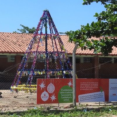 4. Arbolito navideño, Escuela San Vicente de Paul (4)